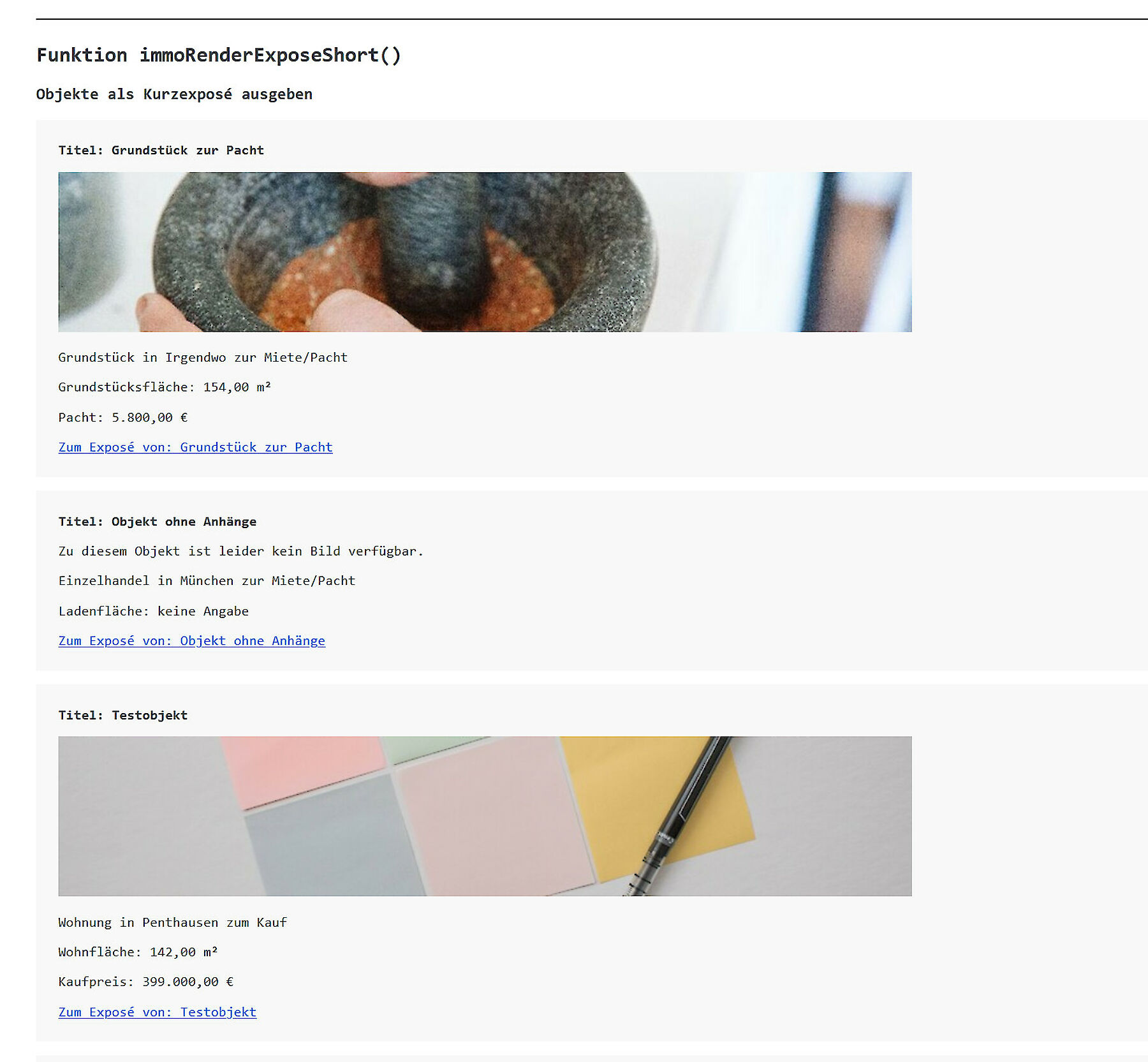 Beispiel Ausgabe Kurzexposé