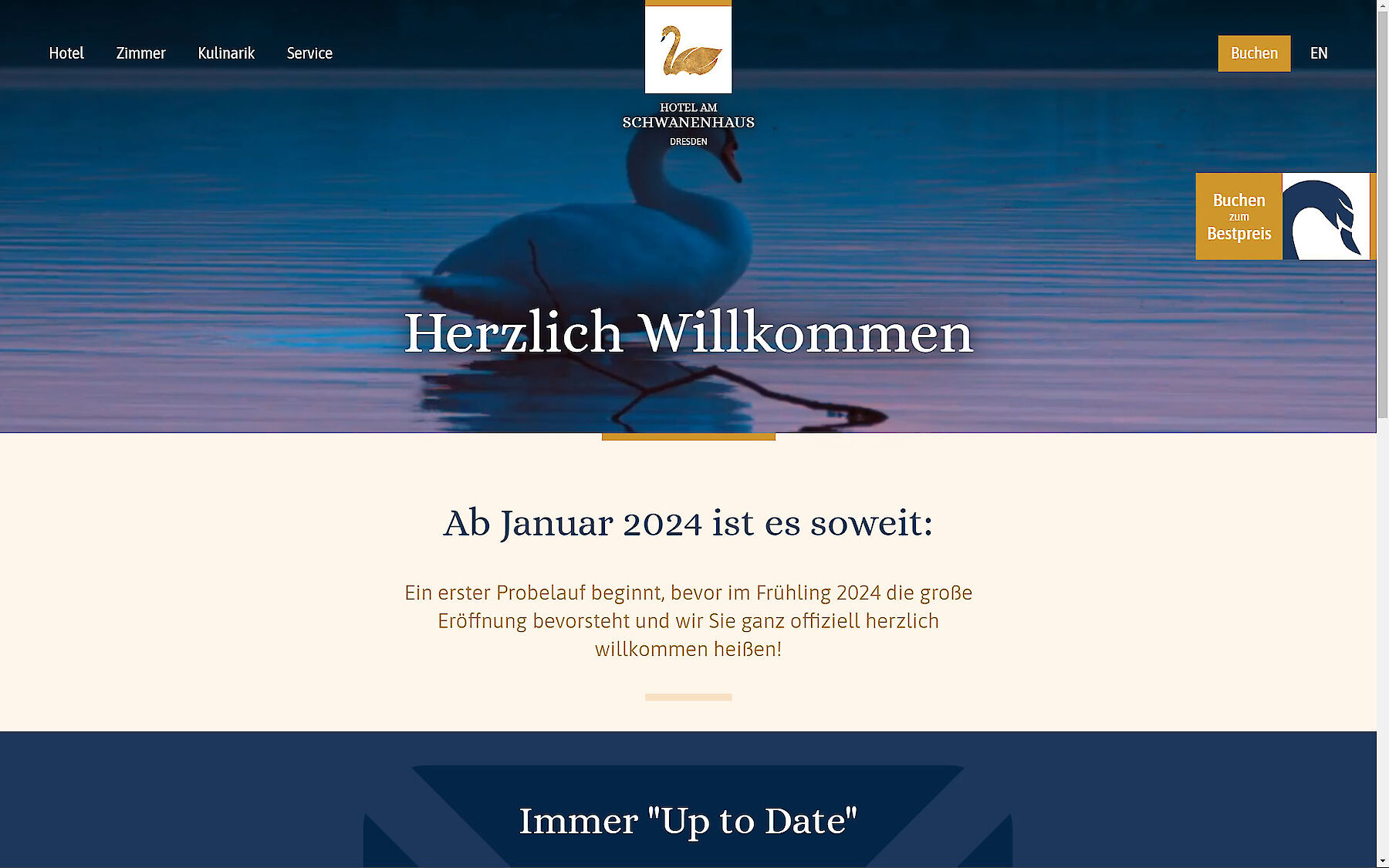 Screenshot Website