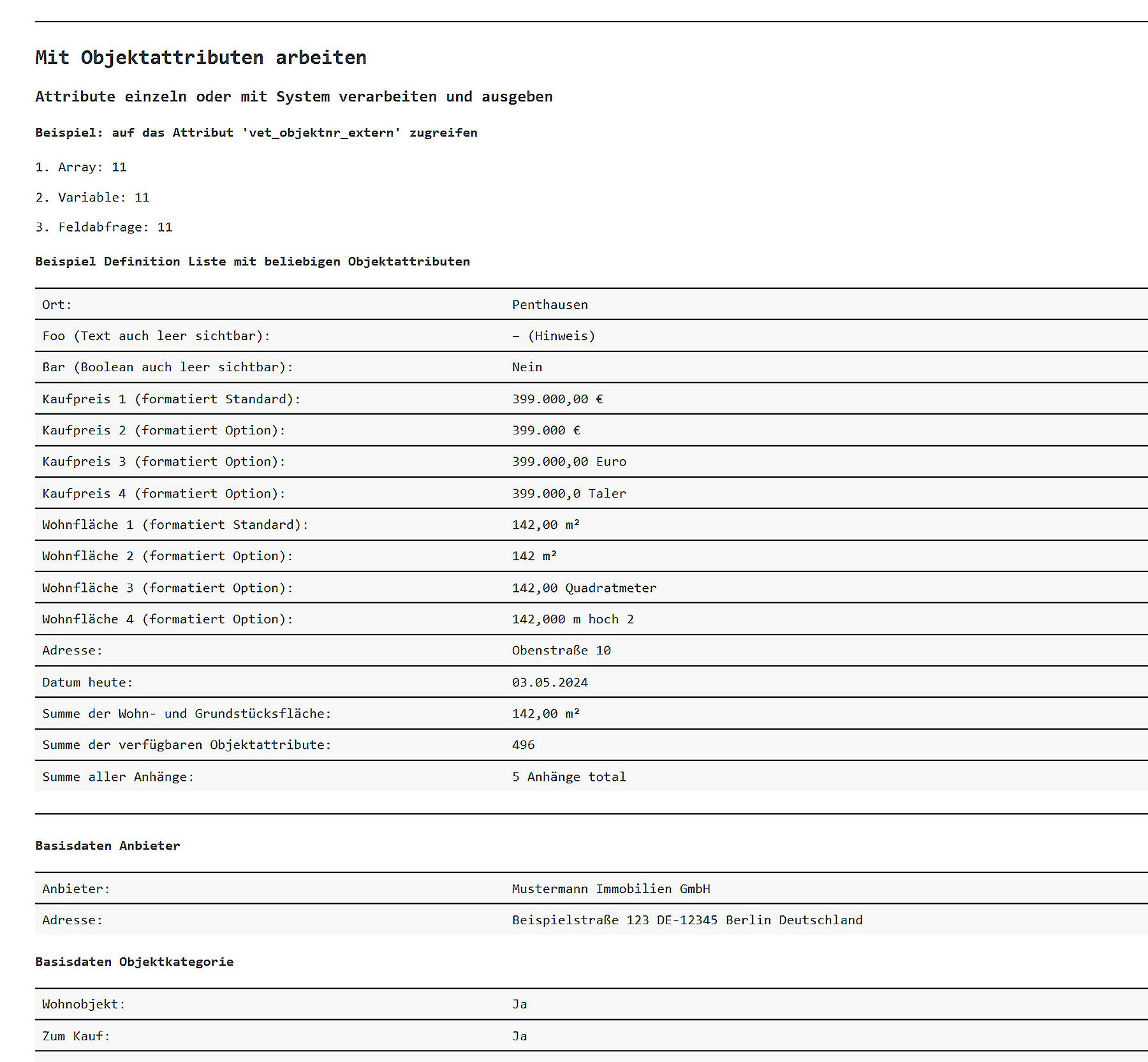 Beispiel Ausgabe Exposé Attribute